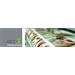 EFI Production ecoS Paper G140 Glossy role 152,4 cm x 30 m (3") 140 g/m2