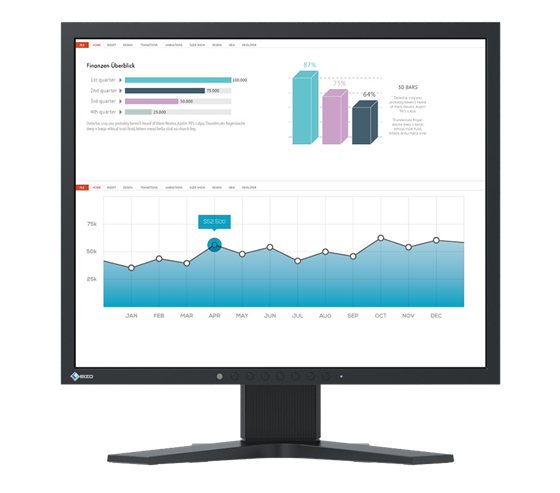 Eizo LCD S1933 19" Flexible Edition Black