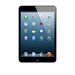iPad mini Wi-Fi 16GB, �ern�