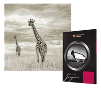 Tecco Digital Photo PFR310 FineArt Rag A4, 25ks (310g)
