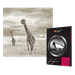 Tecco Digital Photo PFR310 FineArt Rag A4, 50ks (310g)