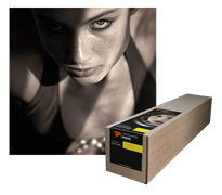 Tecco Digital Photo PL285 Luster 43,2cm x 25m, 285g (17")