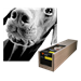 Tecco Digital Photo PM230 Photo Matt 61cm x 30m, 230g (24")
