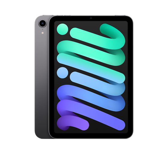 Apple iPad mini Wi-Fi 256B (2021)