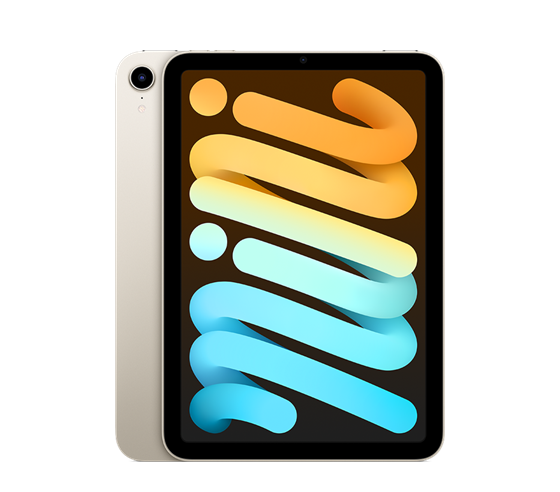 Apple iPad mini Wi-Fi 256B (2021)