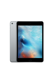 iPad mini&nbsp;4