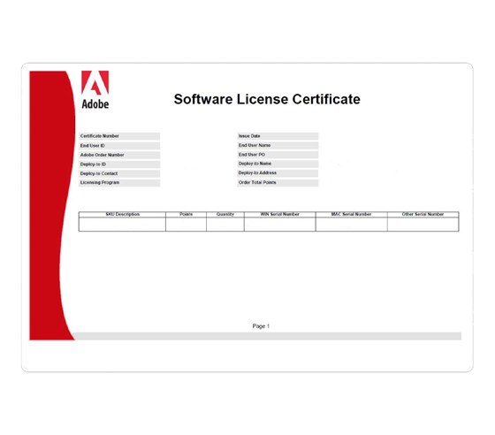 ColdFusion Standard 2018 MP ENG New