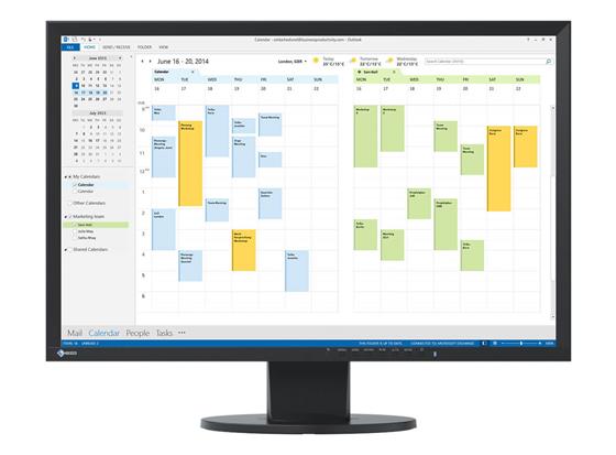 Eizo LCD EcoView EV2416WFS 23" (TN-LED)