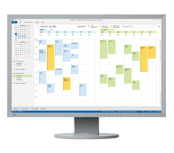 Eizo LCD EcoView EV2416WFS 23" (TN-LED) šedý