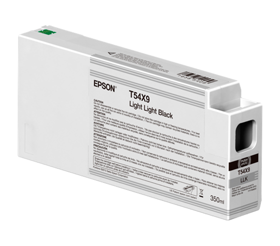 Epson T54X900 Light Light Black, 350ml