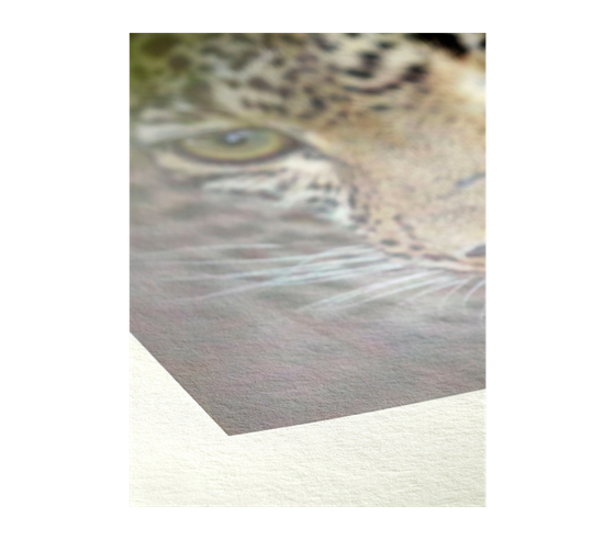 Hahnemühle Bamboo 290 - A3, 25 ks