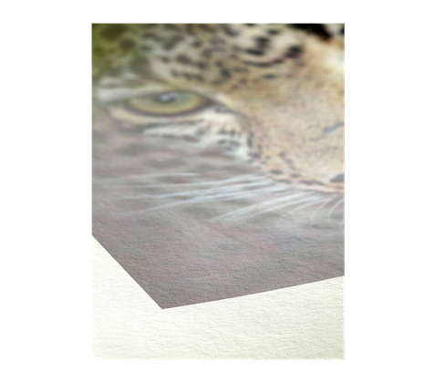 Hahnemühle Bamboo 290  - A3, 25 ks