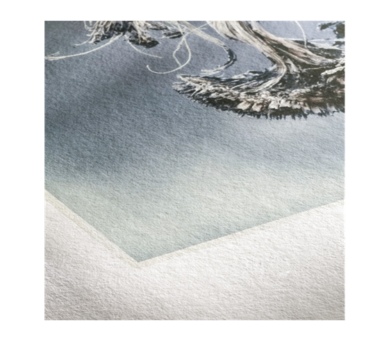 Hahnemühle Museum Etching 350 - ručně trhané okraje