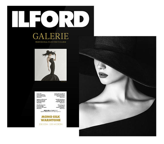 ILFORD GALERIE Mono Silk Warmtone 250 (GPMSW)