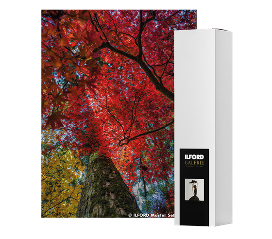 ILFORD GALERIE Prestige Crystal Gloss (GCG) 290 g/m2