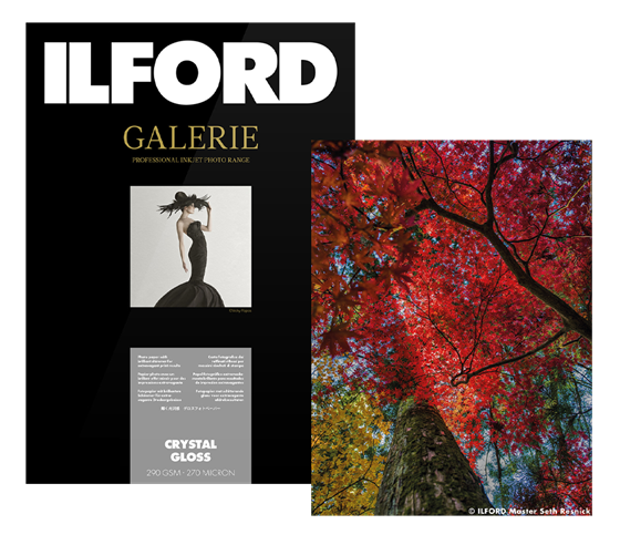 ILFORD GALERIE Prestige Crystal Gloss (GCG) 290 g/m2