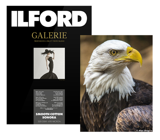 ILFORD GALERIE Prestige Smooth Cotton Sonora (GSCS) 320 g/m2