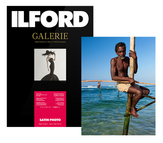 ILFORD GALERIE Satin Photo 260 (IGPSP)