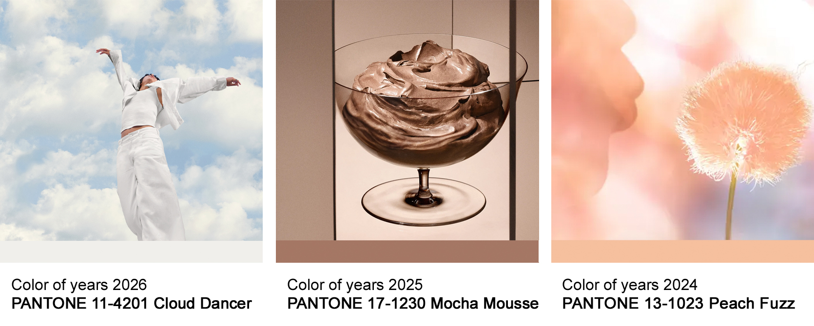 Barva roku 2024-2026