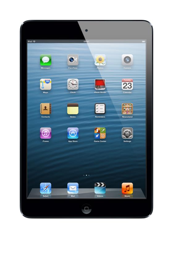 iPad mini Wi-Fi 16GB, černý