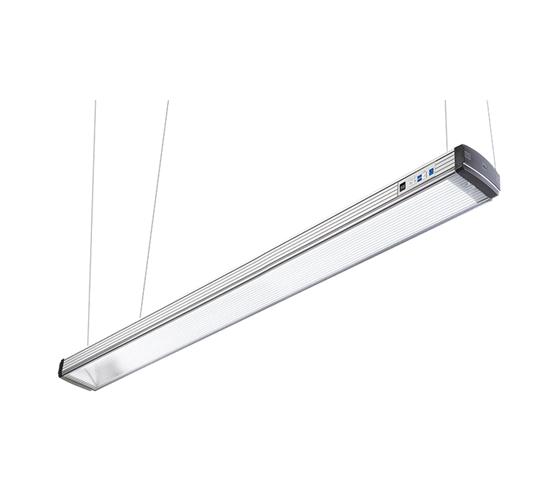 Just DLS moduLight 1-1200