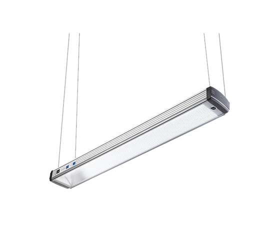 Just DLS moduLight 1-800