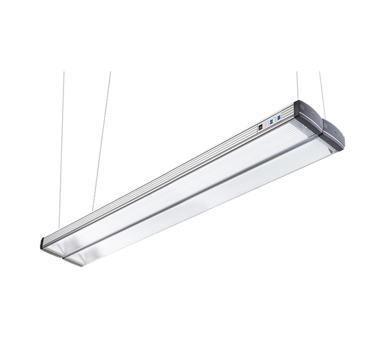 Just DLS moduLight 2-1200