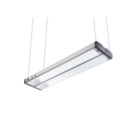 Just DLS moduLight 2-800