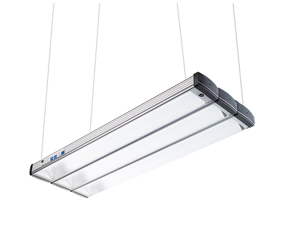 Just DLS moduLight 3-1200