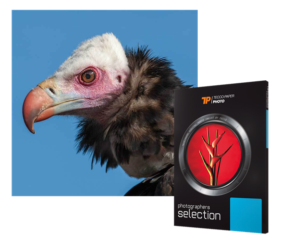 Tecco Photo DS325 DUO Satin 325 g/m2