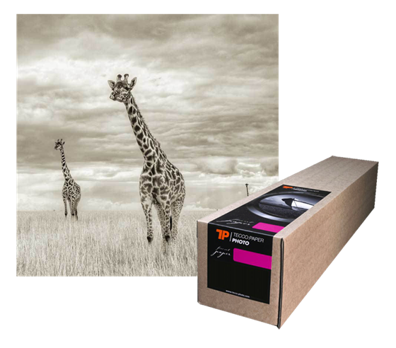 Tecco Photo PCR310 Premium Cotton Rag - role