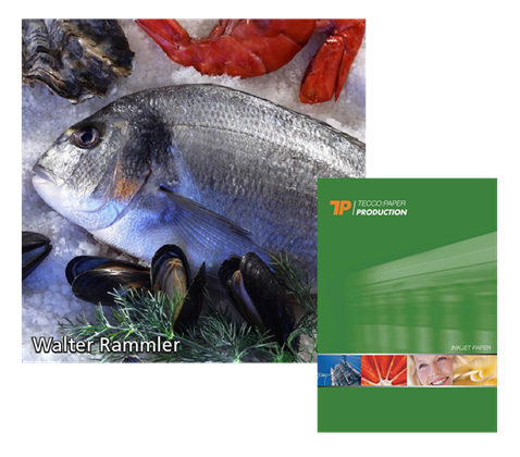 Tecco Production VG270SA Vinyl Glossy samolepící 300 g/m2 /  270 µ